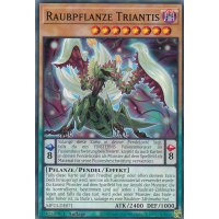 Raubpflanze Triantis MP23-DE071