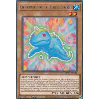 Cartorhyn die versteckte Perle des Strandes MP23-DE132