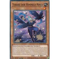 Tobari der Himmels-Ninja MP23-DE166