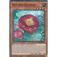 Naturia-Kamelie MP23-DE171