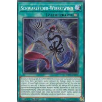 Schwarzfeder-Wirbelwind MP23-DE195