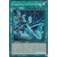 Exoschwester-Carpedivem MP23-DE262
