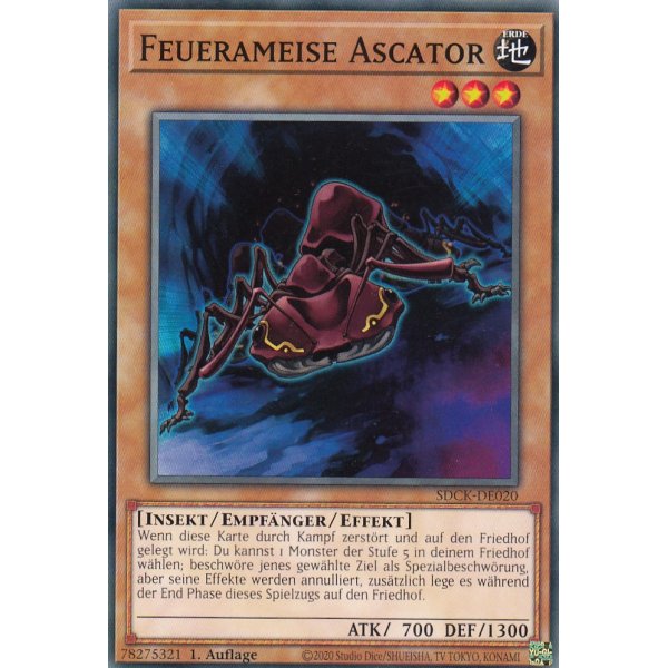 Feuerameise Ascator SDCK-DE020