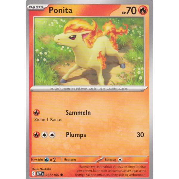 Ponita 077/165