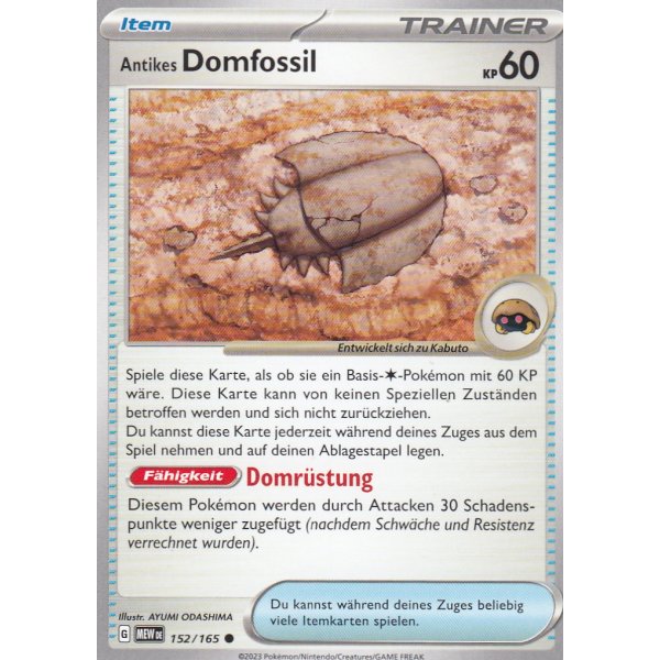 Antikes Domfossil 152/165
