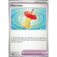 &Uuml;berreste 163/165