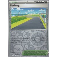 Radweg 157/165 REVERSE HOLO