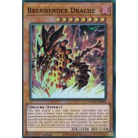 Brennender Drache AGOV-DE094