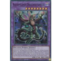 Raubpflanze Drachostapelia V.7 (Ultimate Rare) RA01-DE027 V.7-Ultimate-Rare