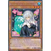 Geisterschwester und gruseliger Hartriegel VASM-DE043