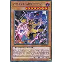 Scheu&szlig;liche losgekettete Seele VASM-DE051