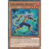 Coachsoldat Bellwolf SR14-DE011