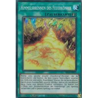 Himmelsbrennen des Feuerkönigs SR14-DE025