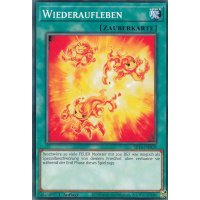 Wiederaufleben SR14-DE028
