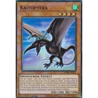 Kaitoptera MZMI-DE012