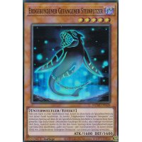 Erdgebundener Gefangener Steinputzer MZMI-DE028