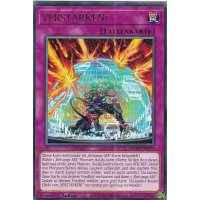 VERST&Auml;RKEN! MZMI-DE079