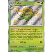 Duflor 093/091 Shiny