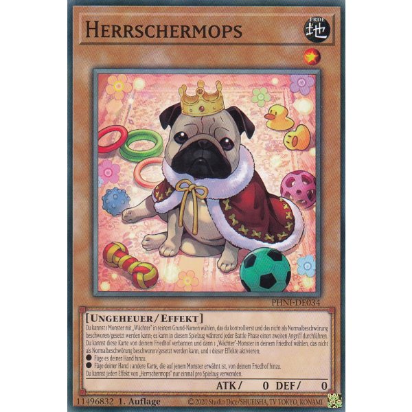 Herrschermops PHNI-DE034