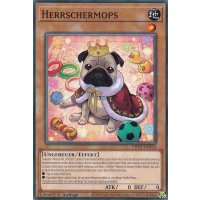 Herrschermops PHNI-DE034