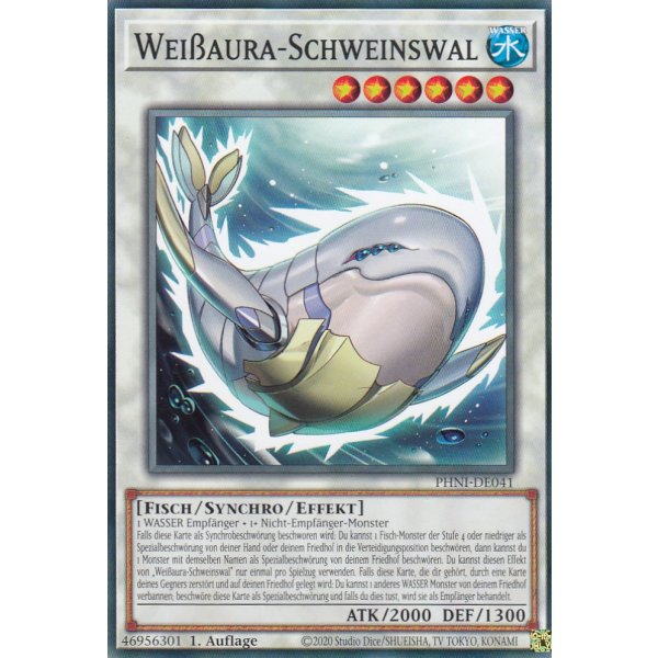 Wei&szlig;aura-Schweinswal PHNI-DE041