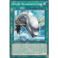 Weiße Reinkarnation PHNI-DE058