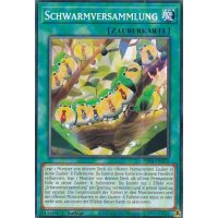 Schwarmversammlung PHNI-DE072
