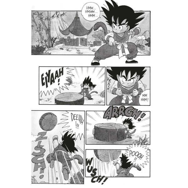 Dragon Ball Massiv 1 - Taschenbuch