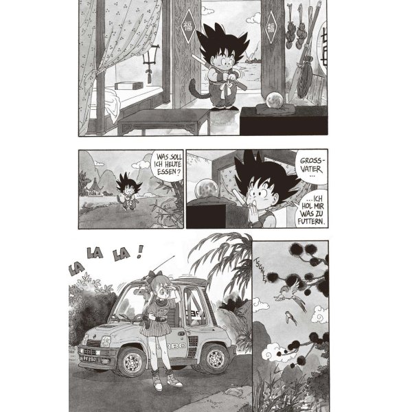 Dragon Ball Massiv 1 - Taschenbuch