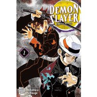 Demon Slayer - Kimetsu no Yaiba 2 - Taschenbuch