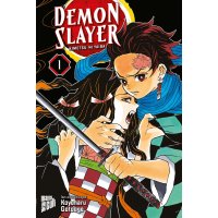 Demon Slayer - Kimetsu no Yaiba 1 - Taschenbuch