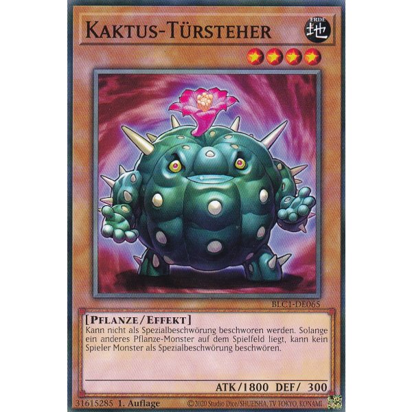 Kaktus-T&uuml;rsteher BLC1-DE065