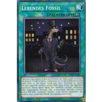 Lebendes Fossil BLC1-DE104