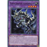Fossildrache Sch&auml;delgar BLC1-DE133
