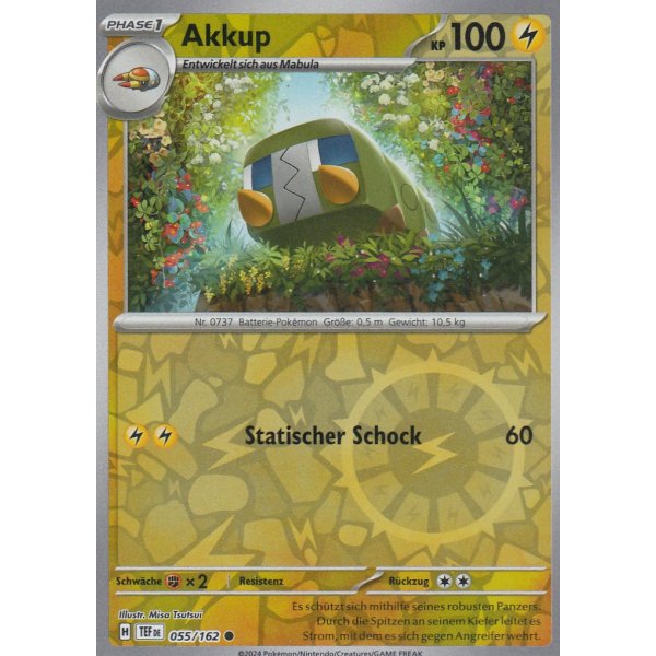 Akkup 055/162 REVERSE HOLO