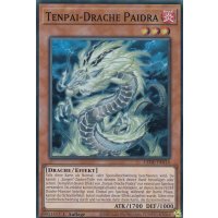 Tenpai-Drache Paidra LEDE-DE016