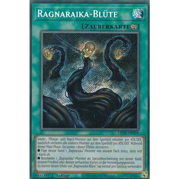 Ragnaraika-Bl&uuml;te LEDE-DE058