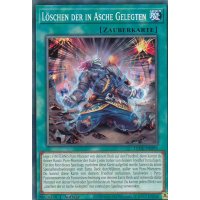 L&ouml;schen der in Asche Gelegten LEDE-DE095