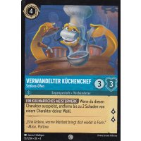 Verwandelter Küchenchef - Schlos-Ofen 4URS-157