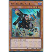 Springans Kitt BLTR-DE108