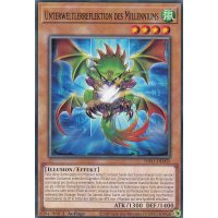 Unterweltlerreflektion des Millenniums INFO-DE005