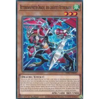 Ritterbewaffneter Drache, der gerüstete Ritterdrache INFO-DE012