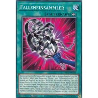 Falleneinsammler INFO-DE065