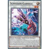 Schocker-Garnele INFO-DE088