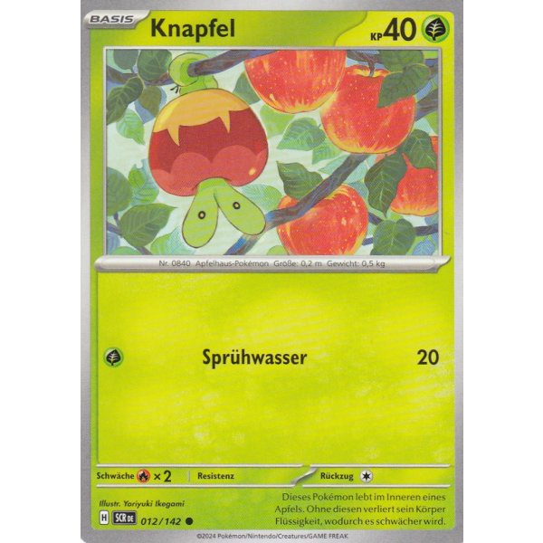 Knapfel 012/142