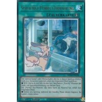 Schläfrige Purrely-Erinnerung MP24-DE198