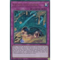 Fallen aufsp&uuml;ren MP24-DE202