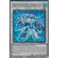 Ursarktischer Polarstern MP24-DE220