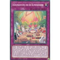 Frühlingssylphe und die Blumenknospen MP24-DE304