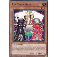 Ein Paar Asse MP24-DE316